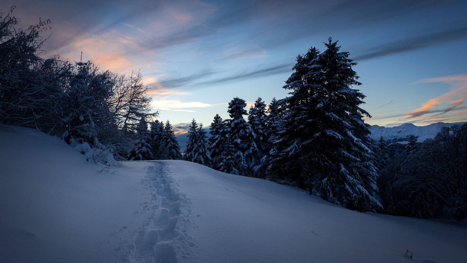 xr:d:DAFuUlk87Ak:23,j:1834510761993805982,t:24022517